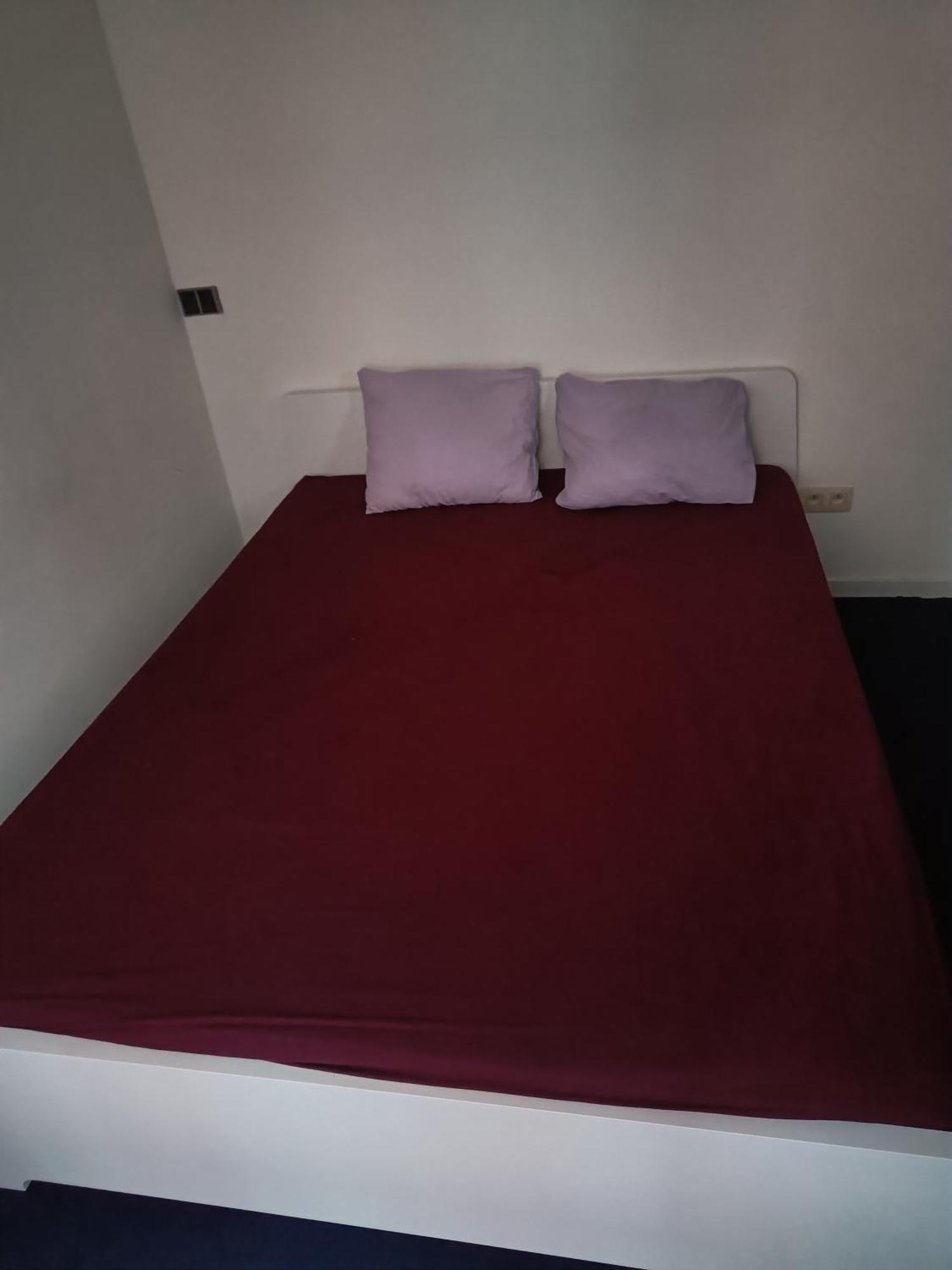 أنتويرب Viktoria Hostel المظهر الخارجي الصورة