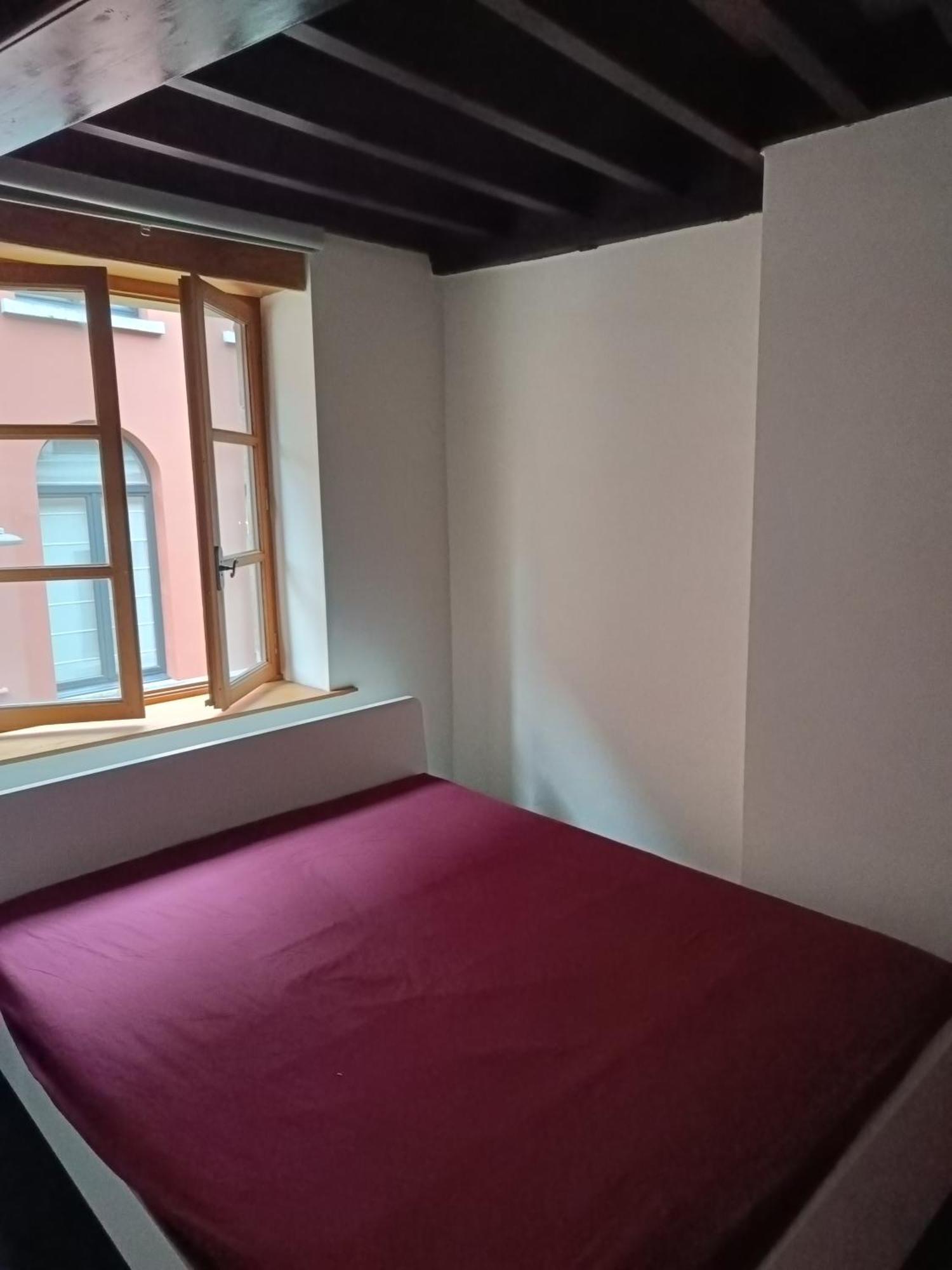 أنتويرب Viktoria Hostel المظهر الخارجي الصورة